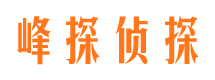 大城市场调查